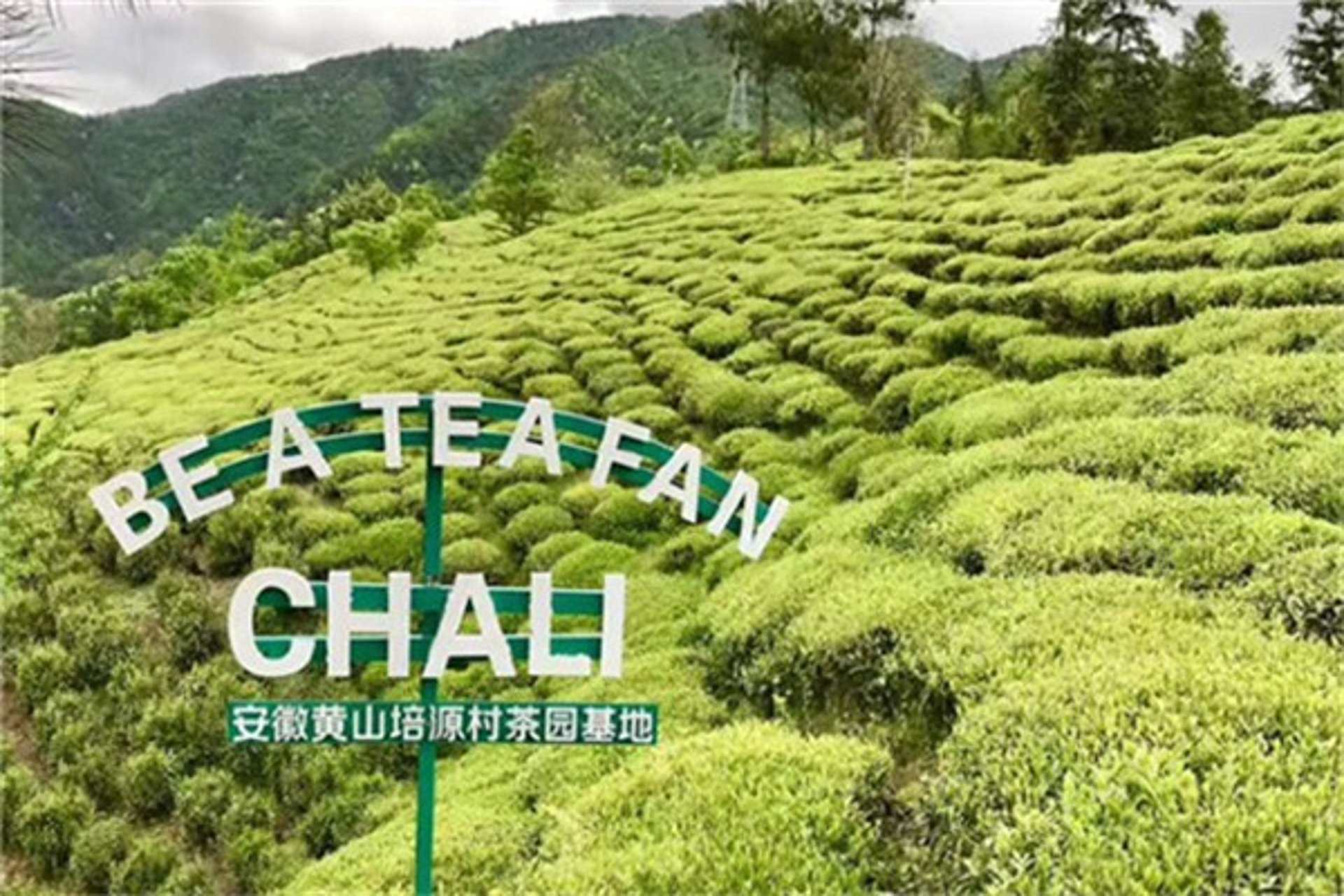 电商代运营:未来已来,趋势所向